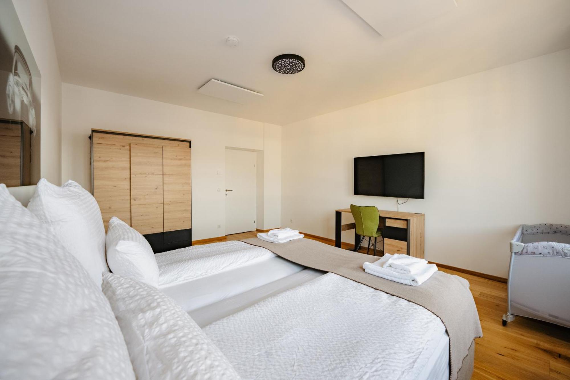 Tamliving Center Luxury 4 Rooms Smart Tv Kitchen Great View 그라츠 외부 사진