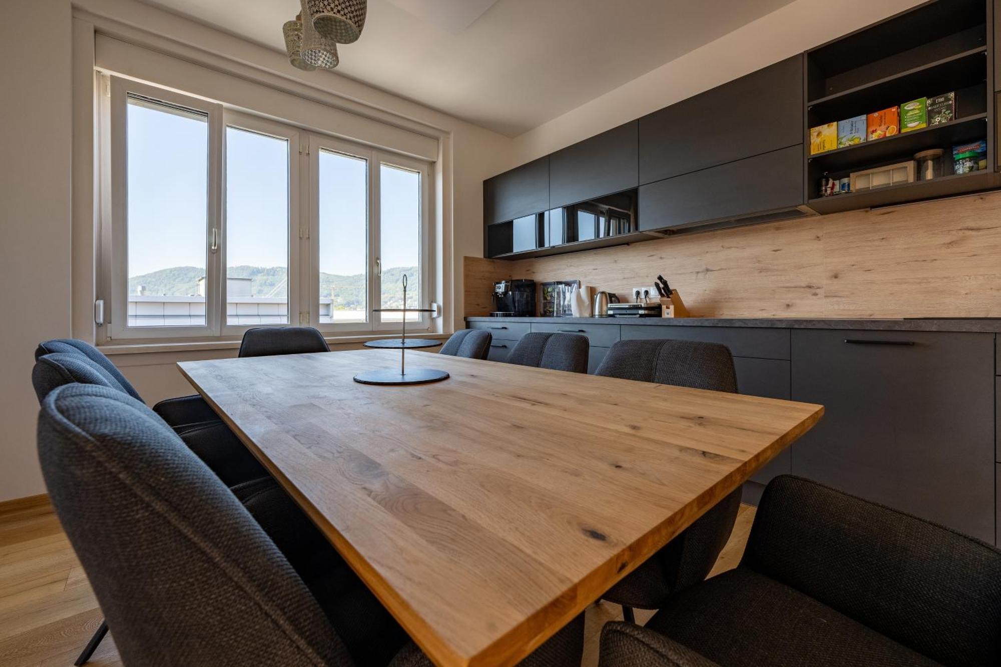 Tamliving Center Luxury 4 Rooms Smart Tv Kitchen Great View 그라츠 외부 사진